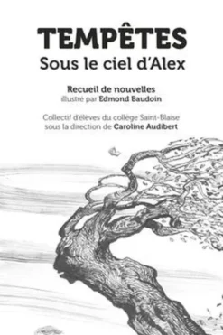 Tempêtes. Sous le ciel d'Alex, Collège Saint-Blaise