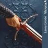 Terres brisées Tome 2 : Lame brisée, Victoria Aveyard