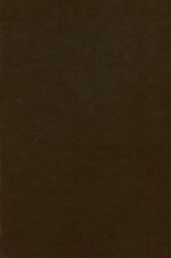 The new grove dictionary of music and musicians Tome V, Stanley Sadie