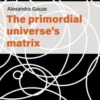The primordial universe's matrix, Alexandra Gauze