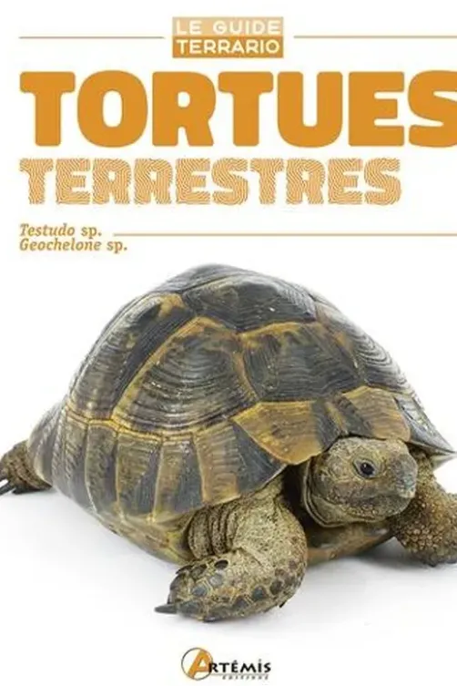 Tortues terrestres, E-J Pirog