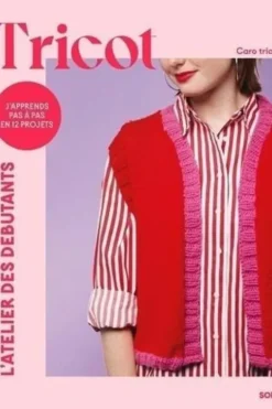 Tricot. J'apprends pas à pas en 12 projets, Caro Tricote