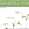 Trucs et astuces sur la germination, Llana Guillet