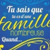 Tu sais que tu es d'une famille nombreuse quand..., Remzi