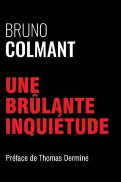 Une brûlante inquiétude, Bruno Colmant