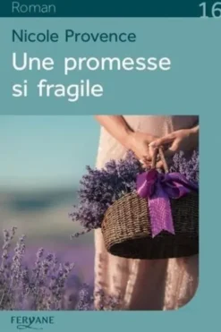Une promesse si fragile [EDITION EN GROS CARACTERES, Nicole Provence