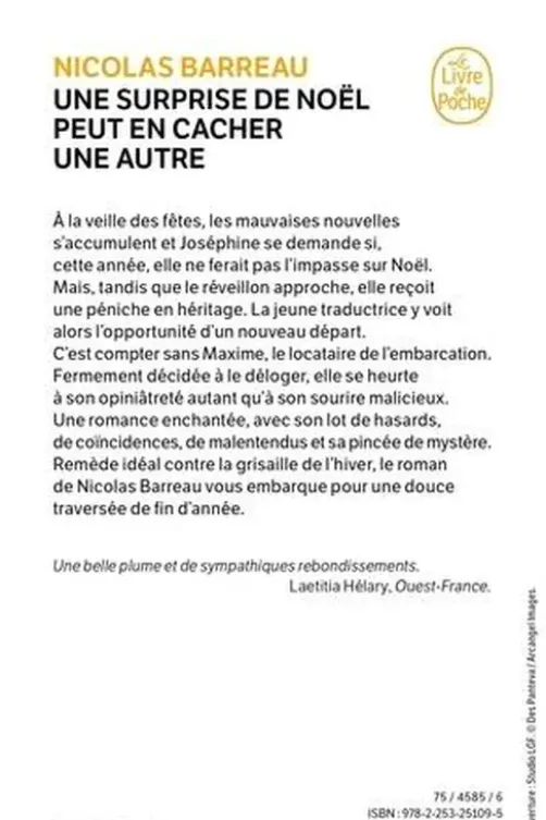 Une surprise de Noël peut en cacher une autre, Nicolas Barreau