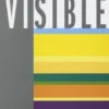 Visible N° 3, 2007 : Intermédialité visuelle, Sémir Badir