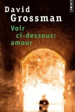 Voir ci-dessous, amour, David Grossman