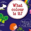 What colour is it ? A partir de 4 ans, avec 1 CD audio, Annie Sussel