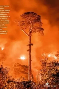 Wildlife Photographer of the Year. Les plus belles photos de nature, Edition 2020, Biotope