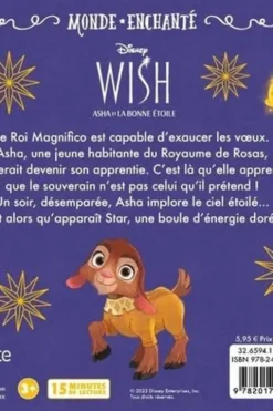Wish, Asha et la bonne étoile, Disney