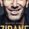 Zidane, Frédéric Hermel